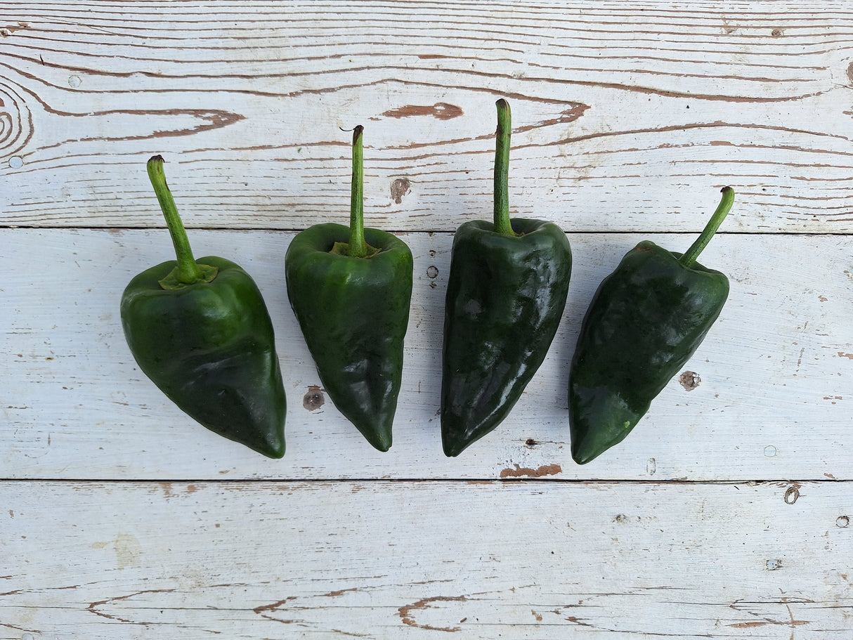 Peppers, Poblano - 4 count