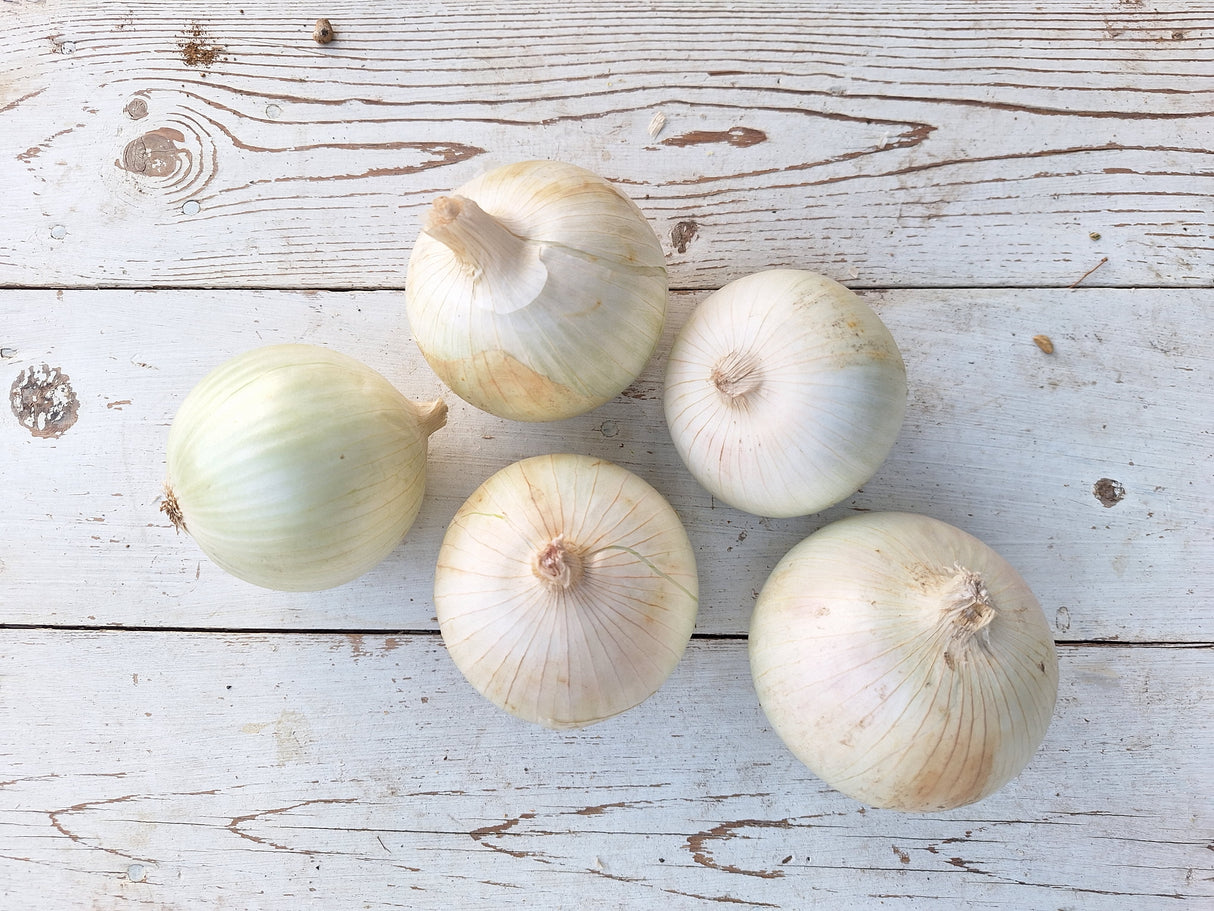 Onions, White - 2 lb