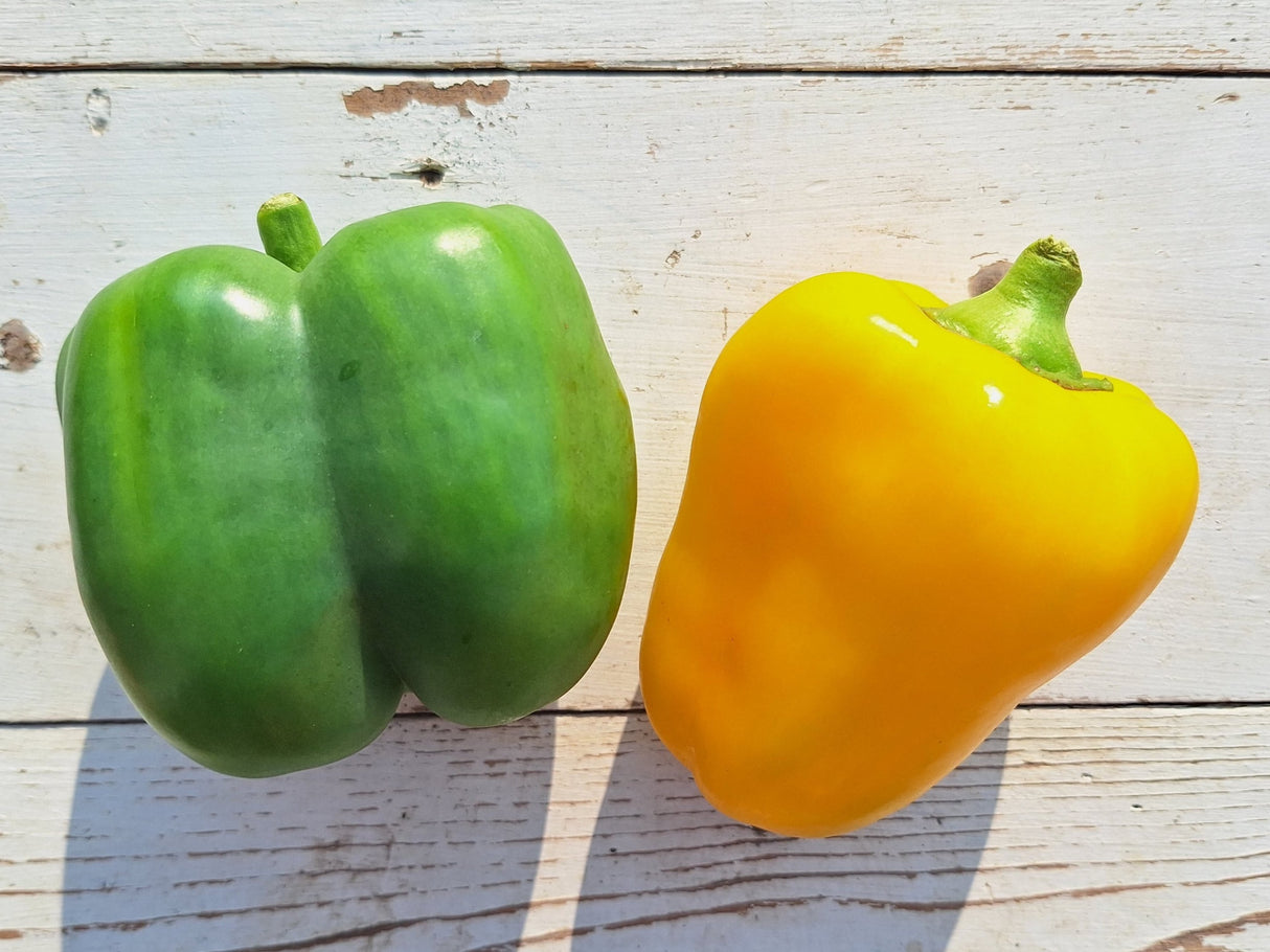 Bell Peppers, 2 count