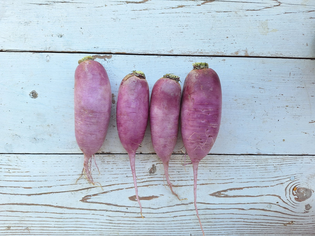 Daikon Radish, 12 oz