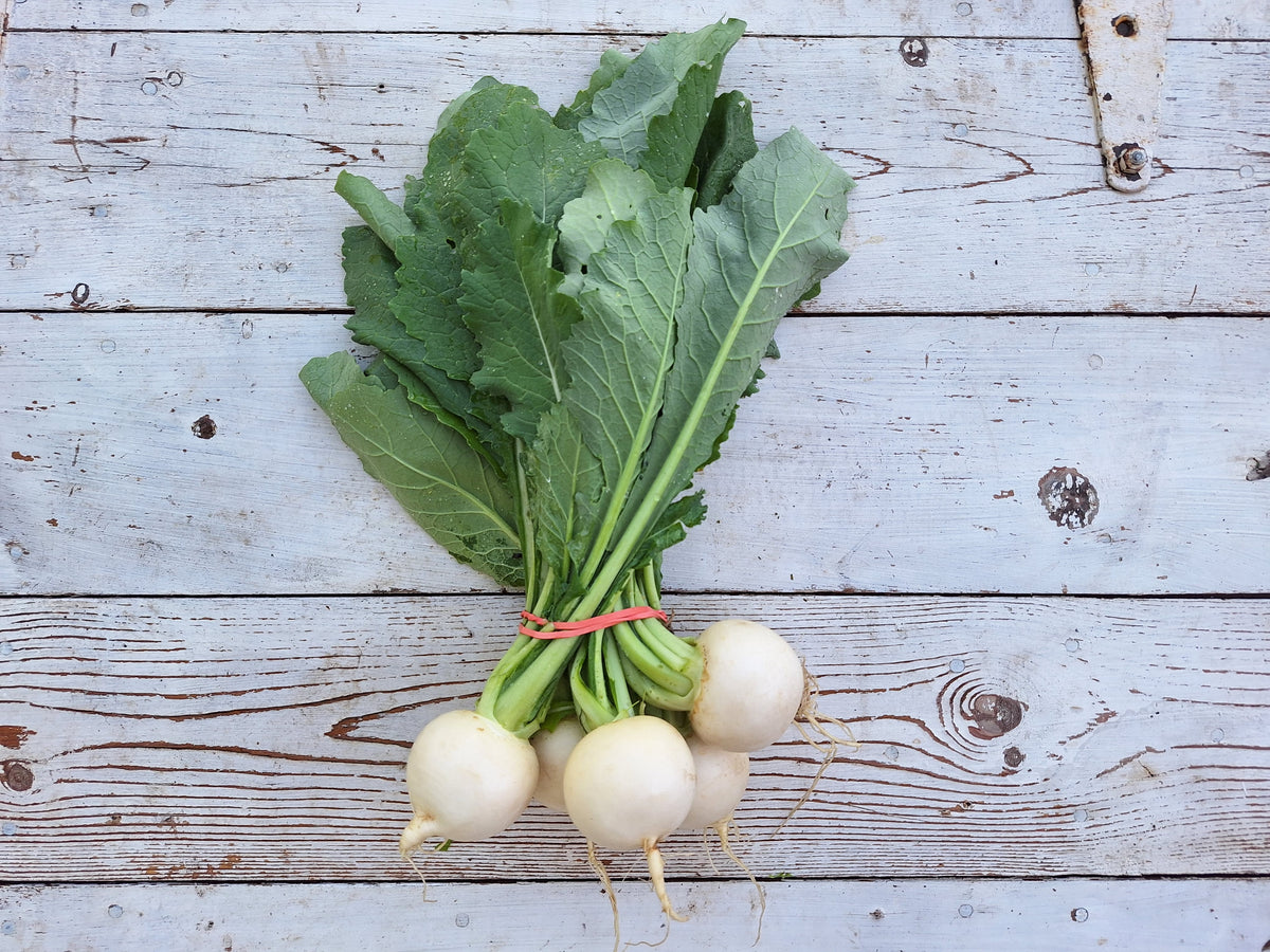 Salad Turnips, Bunch