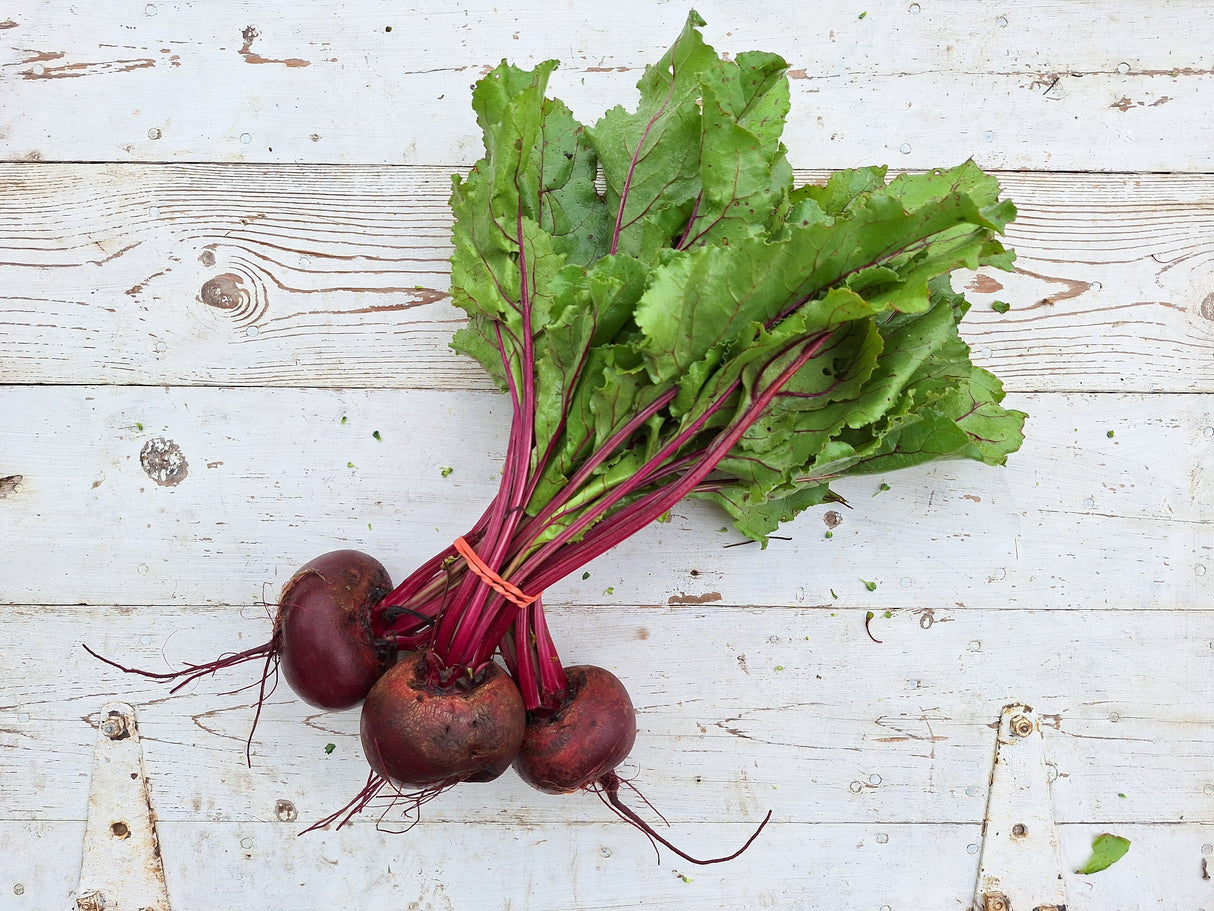 Green Top Beets