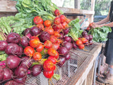 Beets, Gold - 1.5 lb