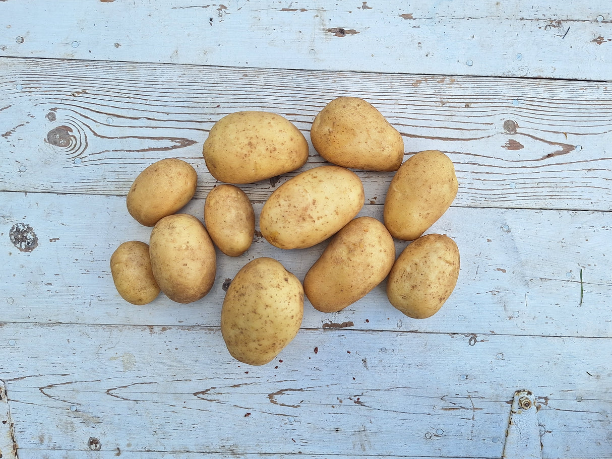 Potatoes, Gold - 5 lb