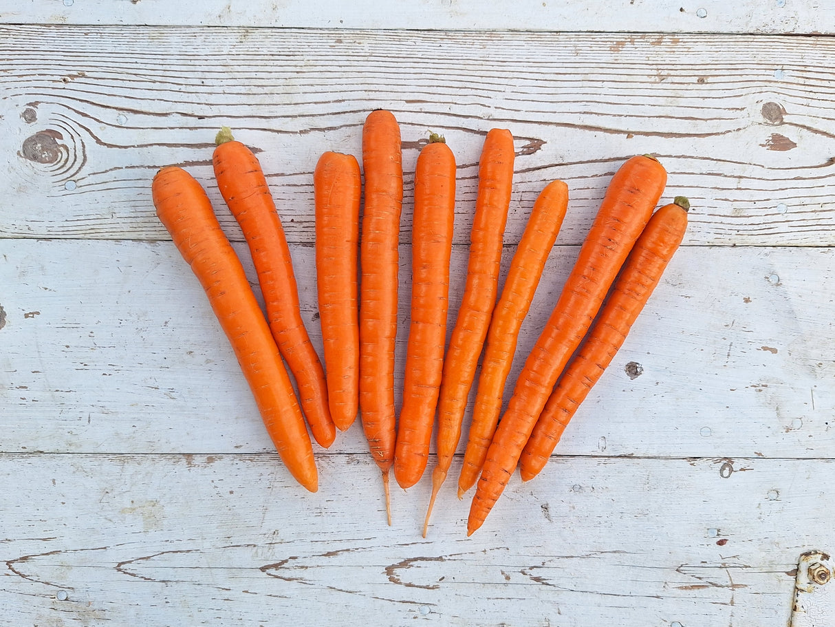 Carrots, 1.5 lb