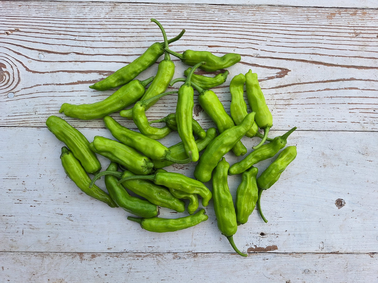 Peppers, Shishito - 1 pint