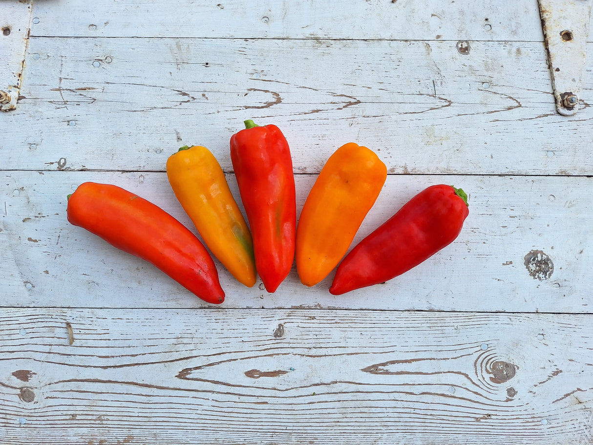 Peppers, Sweet Italian - 1 lb