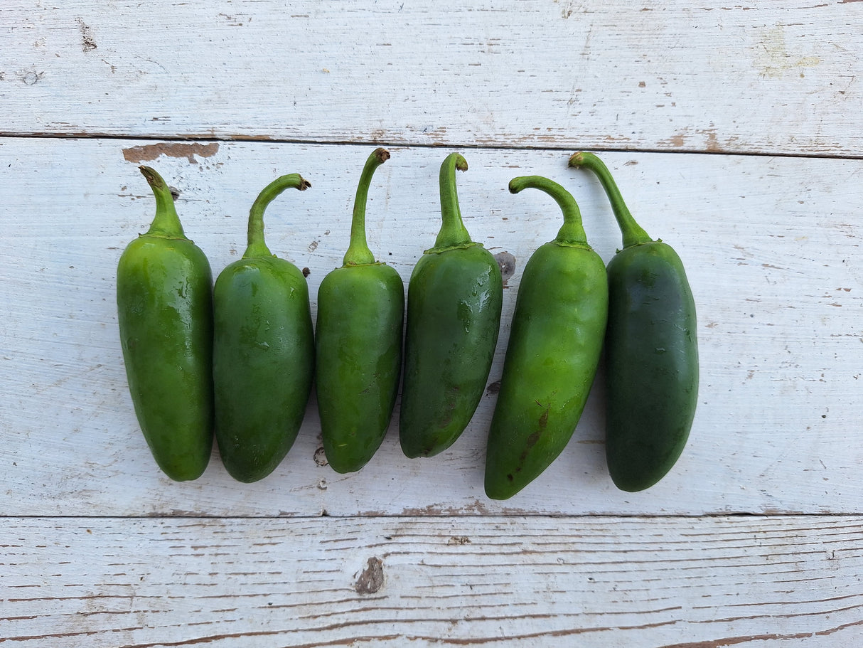 Peppers, Jalapenos - 6 count