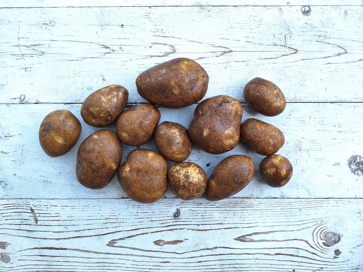 Potatoes, Gold Rush Russet - 2.5 lb