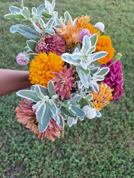 Bouquet of colorful flowers held against a green grass background