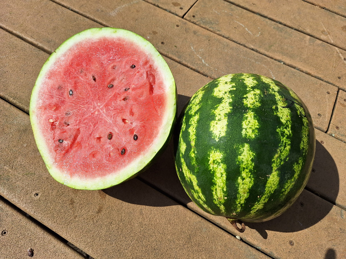 Watermelon, Crimson Sweet