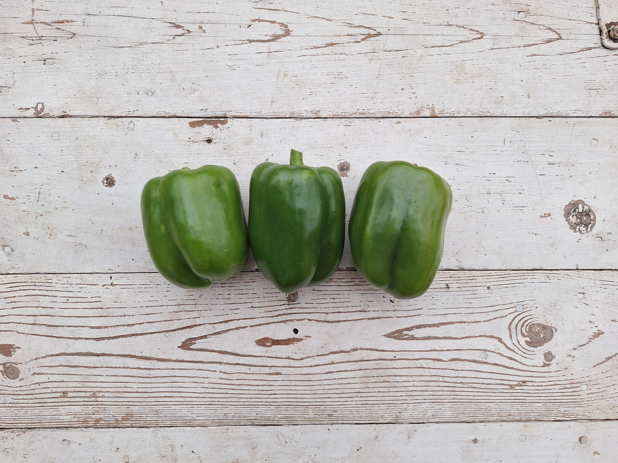 Peppers, Green Bell - 3 count