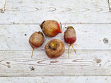 Beets, Gold - 2 lb
