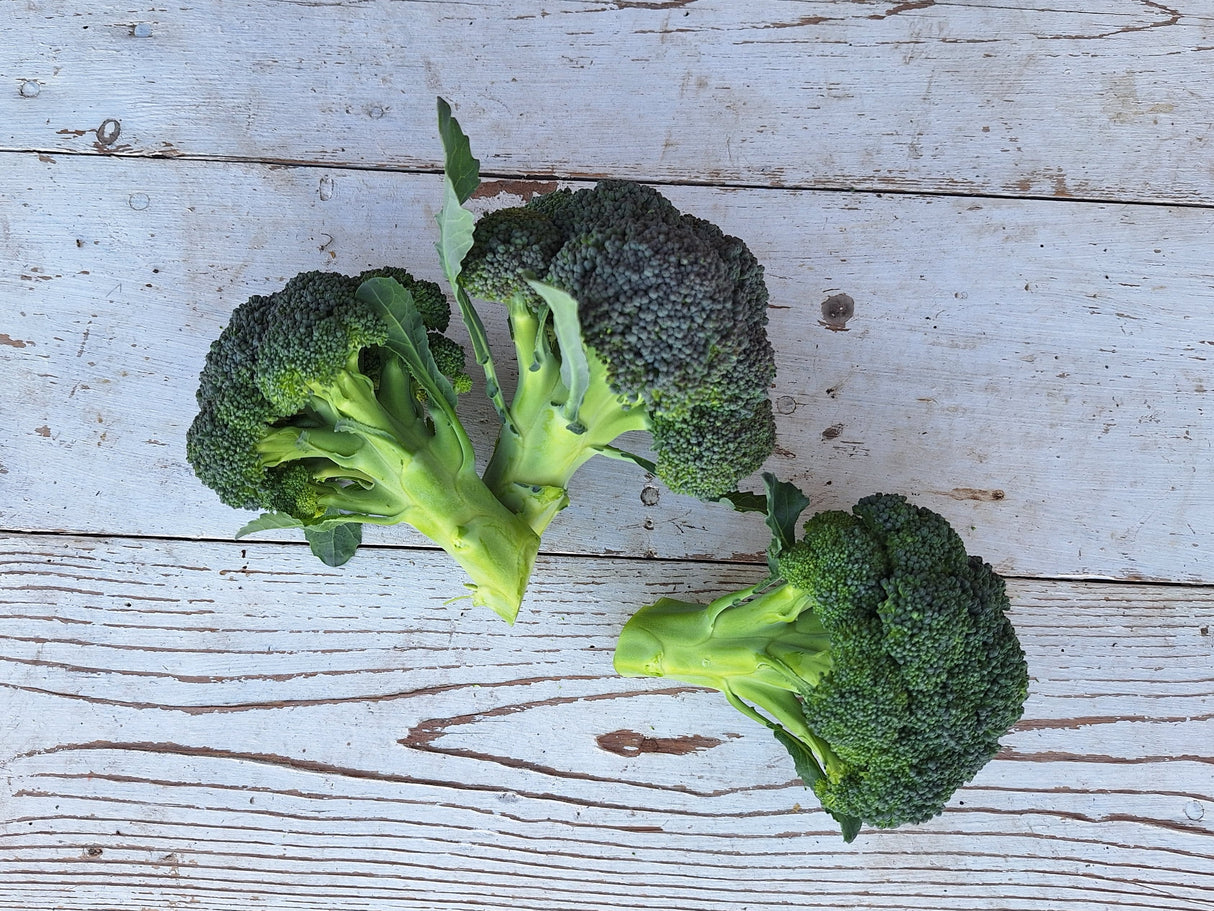 Broccoli, 1 pound