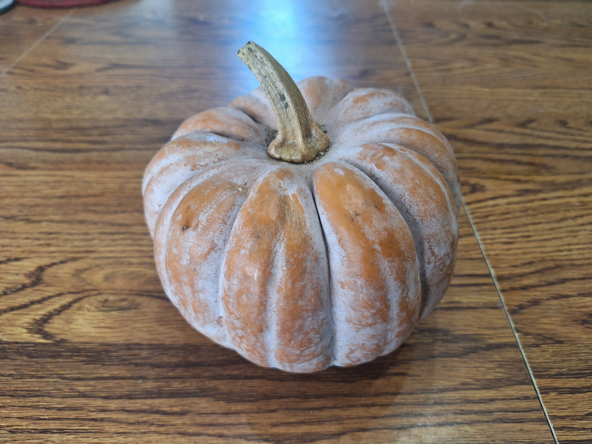 Squash, Autumn Frost
