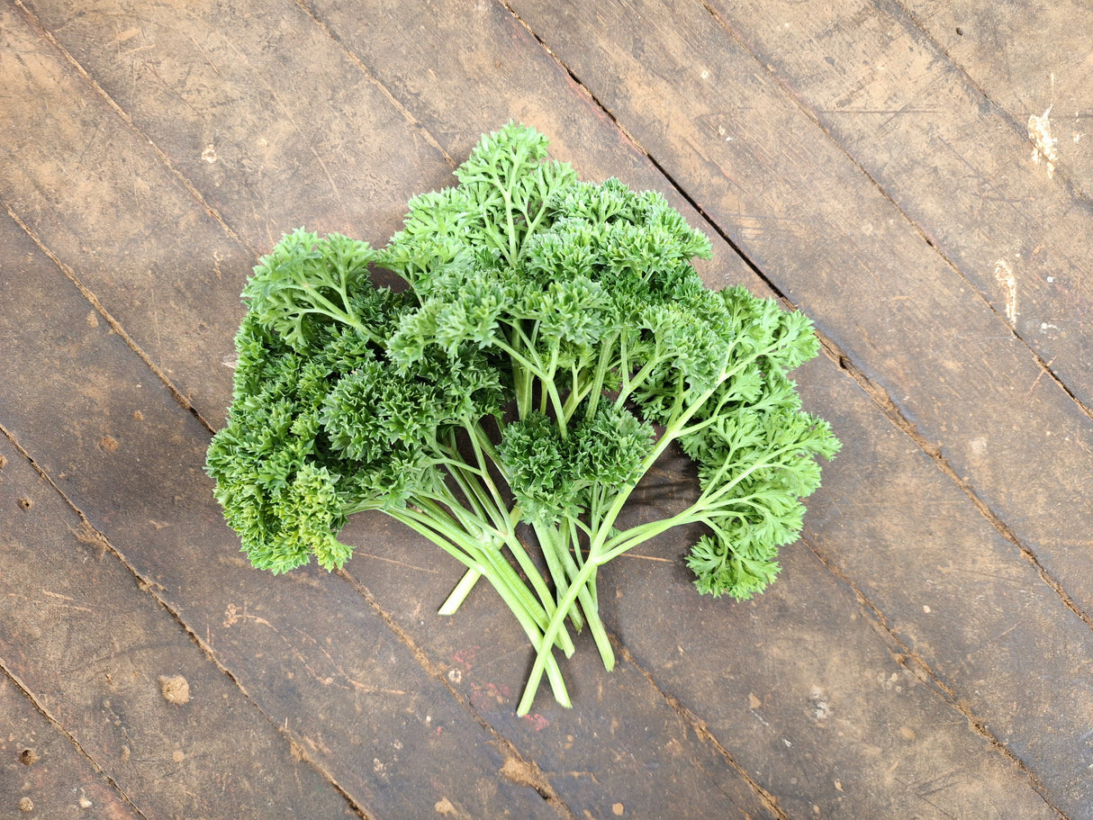 Parsley, curly - 2 oz