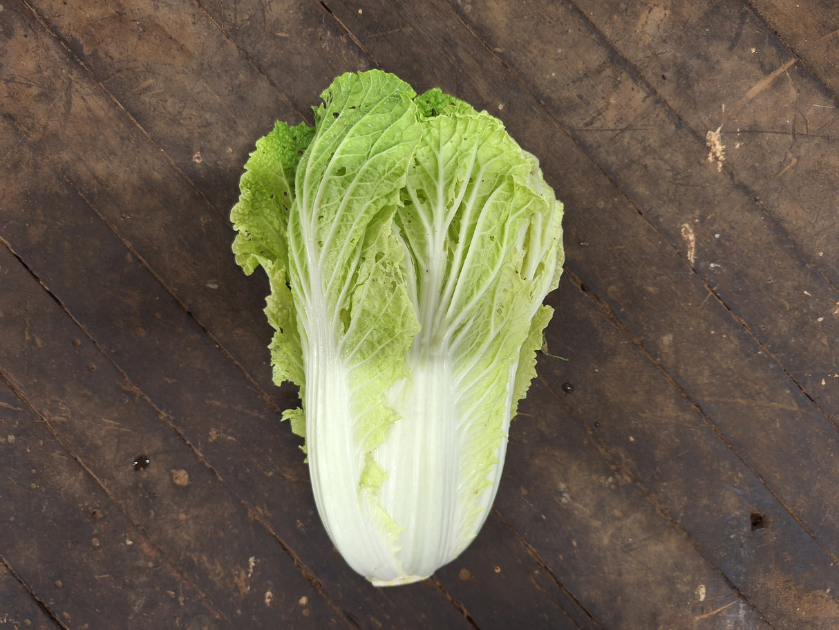 Napa Cabbage, 1 head