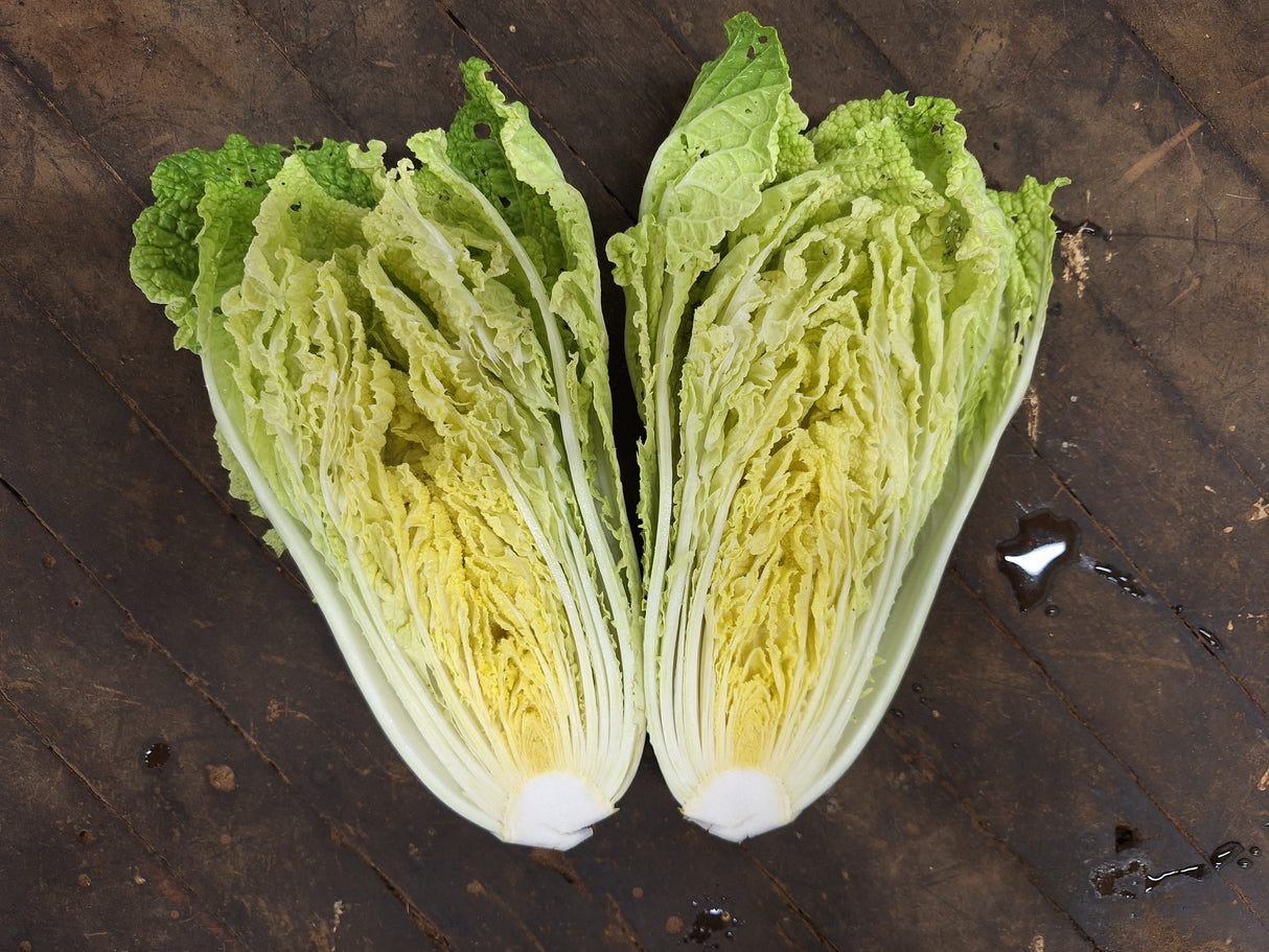 Napa Cabbage, 1 head