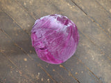 Cabbage, Purple