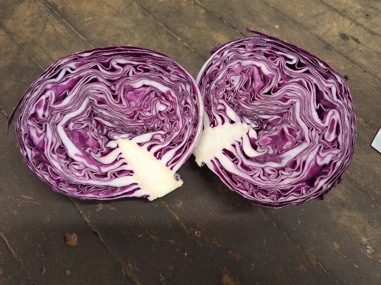 Cabbage, Purple
