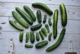 Cucumbers, Slicing - 2 count