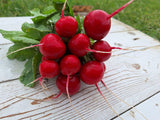 Radish, Bunch