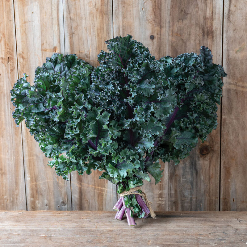 Kale, Purple Curly