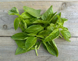 Basil, 1 oz