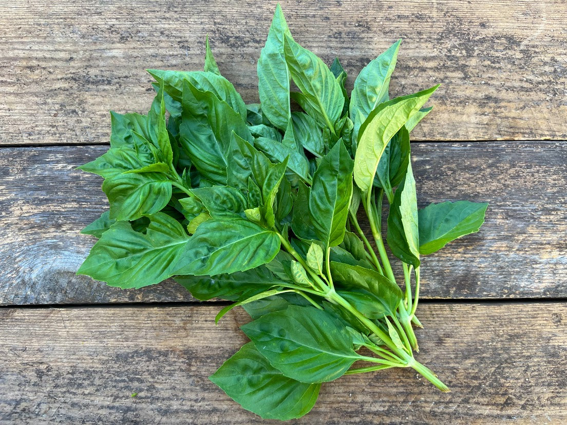 Basil, 2 oz