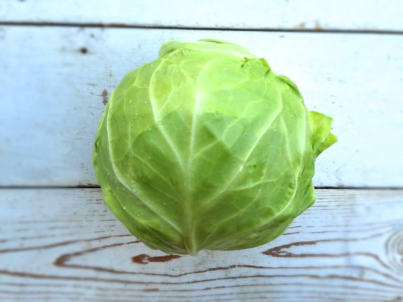 Cabbage, mini