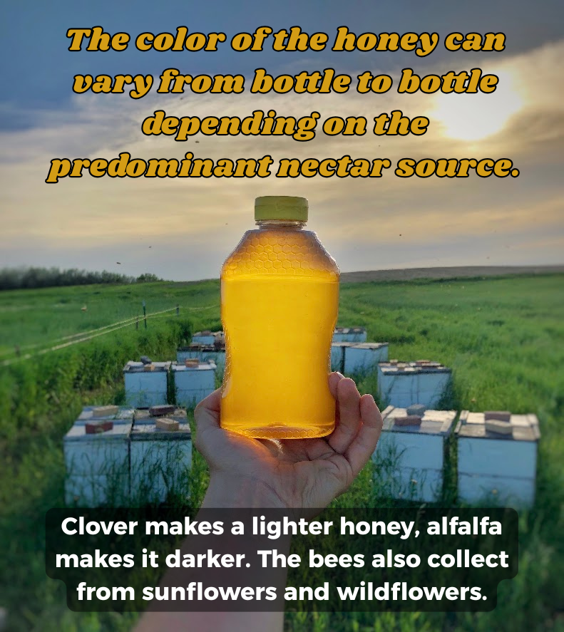 Raw Honey