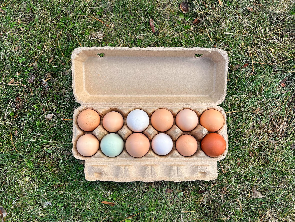 Country Apple Orchard Eggs