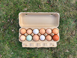 Country Apple Orchard Eggs