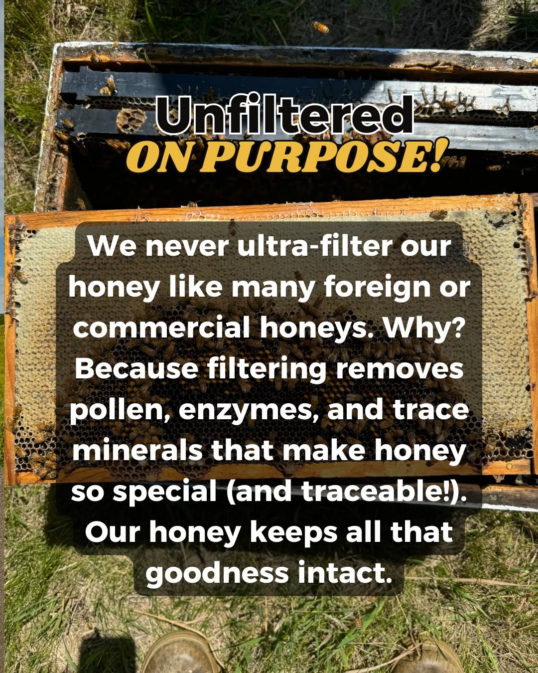 Raw Honey