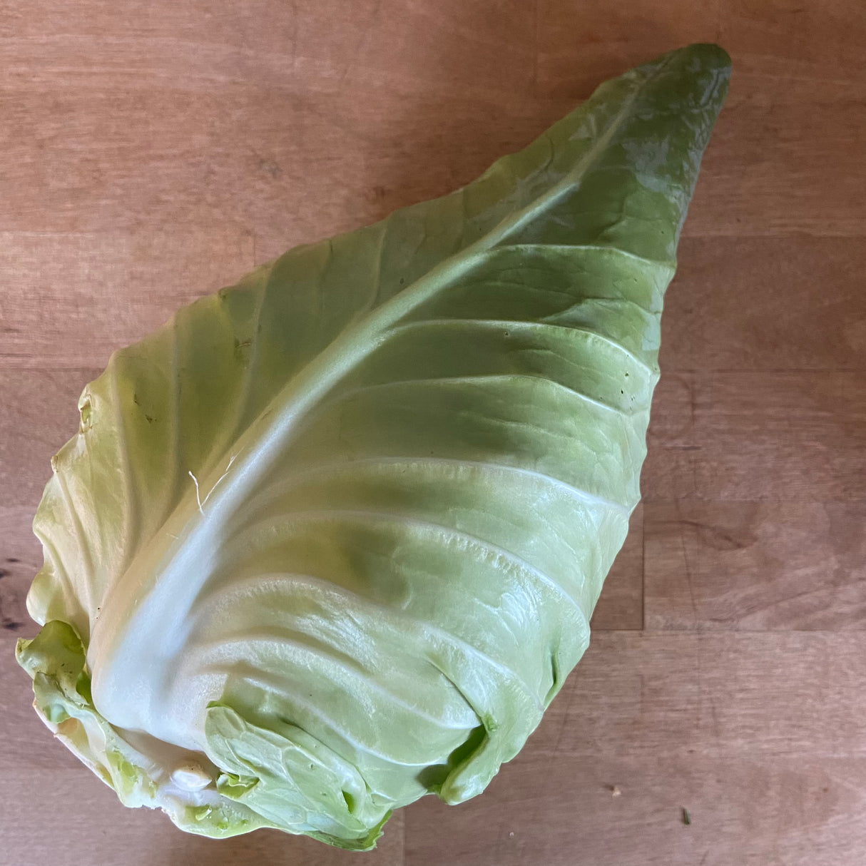 Caraflex Cabbage