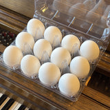 Decorative Easter Eggs