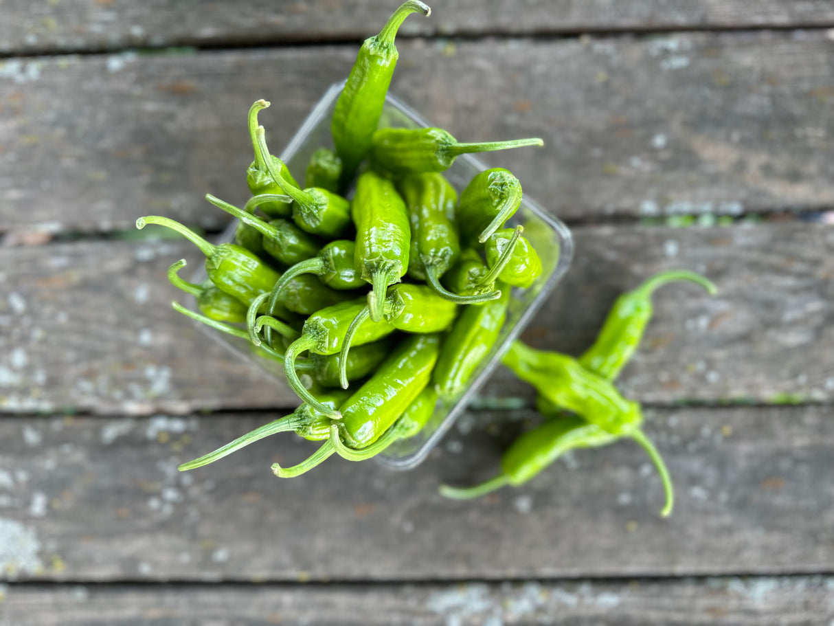 Shishito Peppers, 1 pint