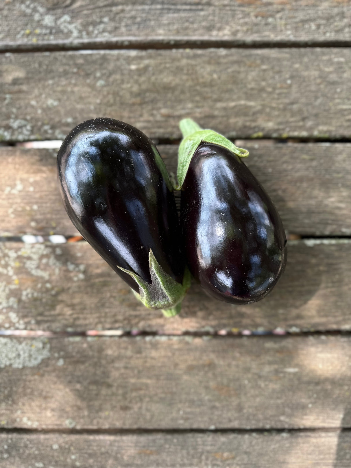 Purple Eggplant, 1 lb