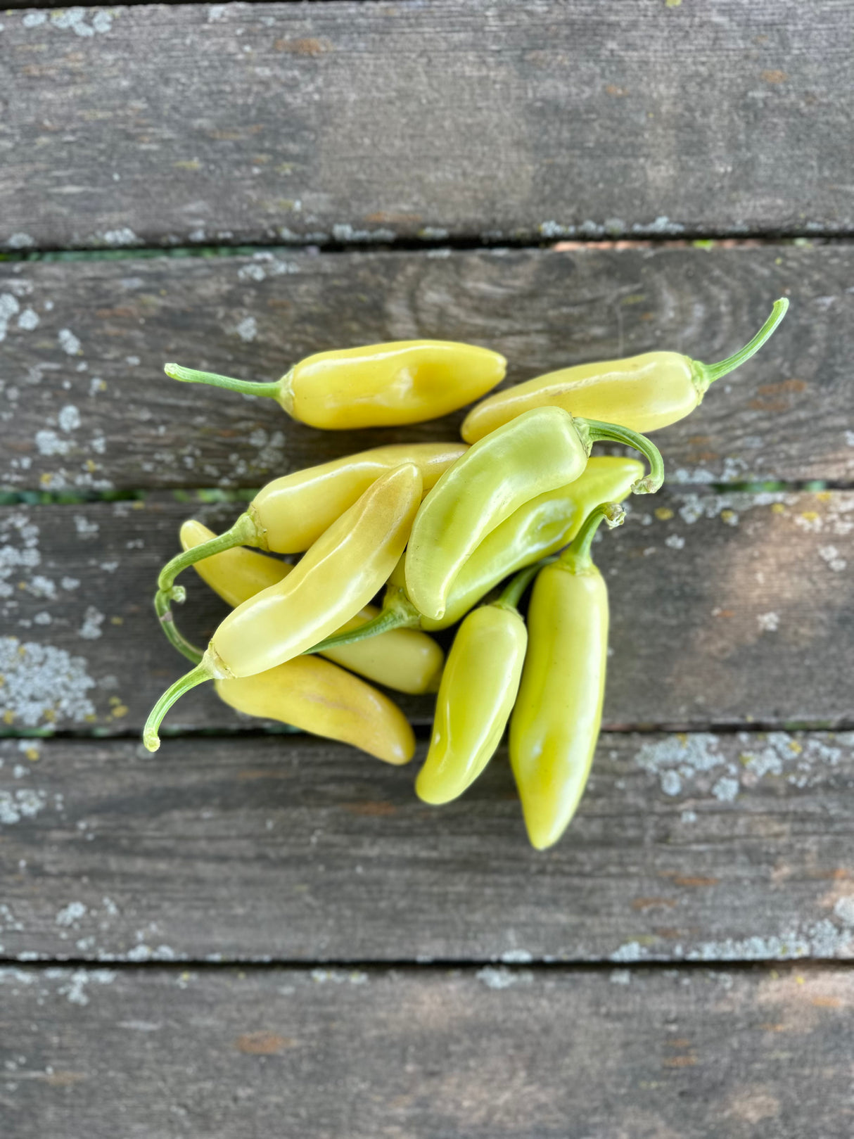 Jalapeños, Yellow, 1/2 lb