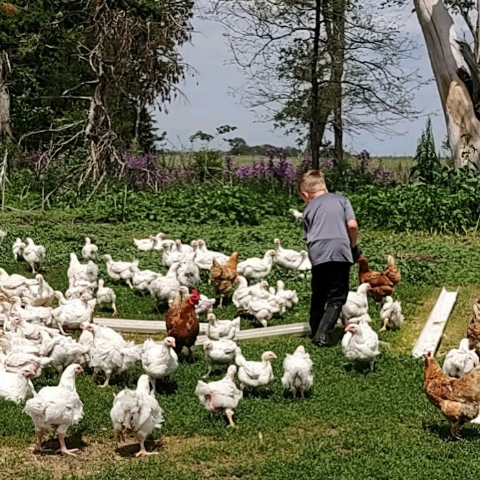 Pasture Raised Whole Chicken