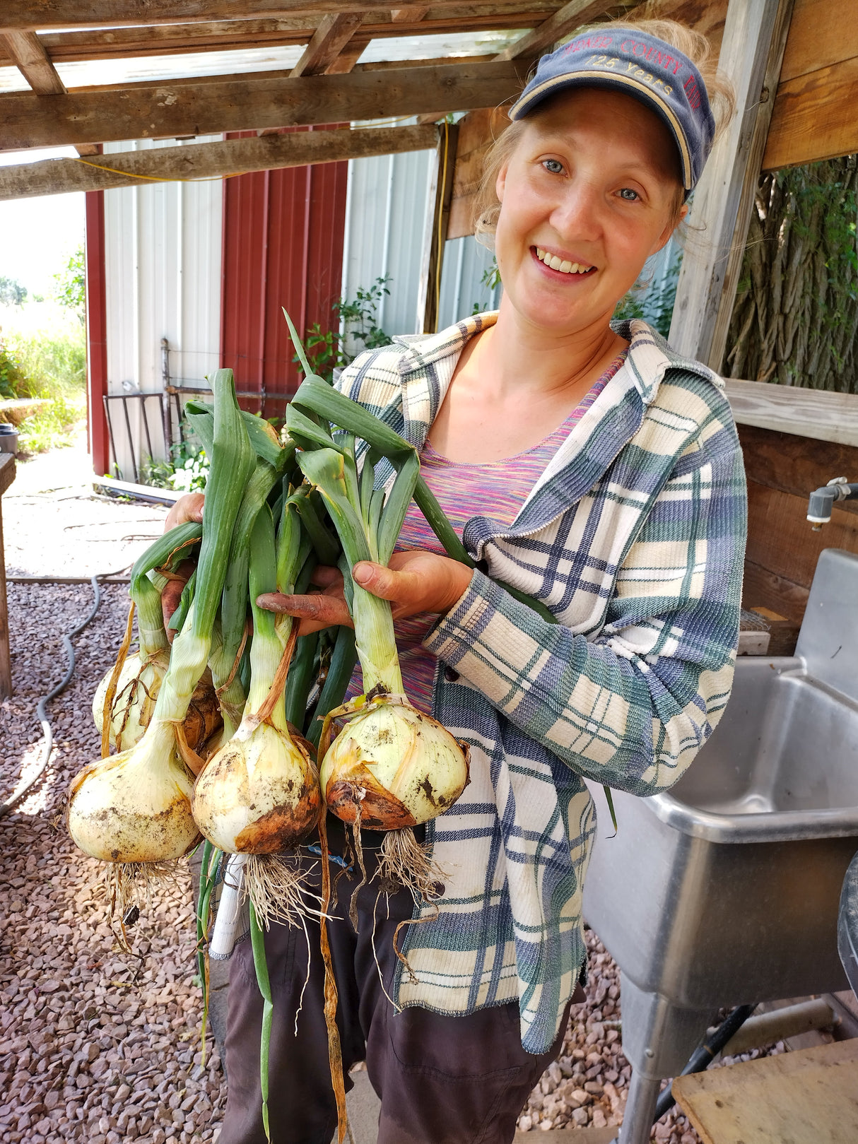 Onions, Sweet - 2 lb