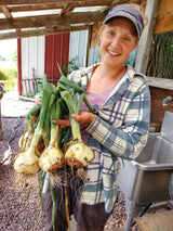 Onions, Sweet - 2 lb