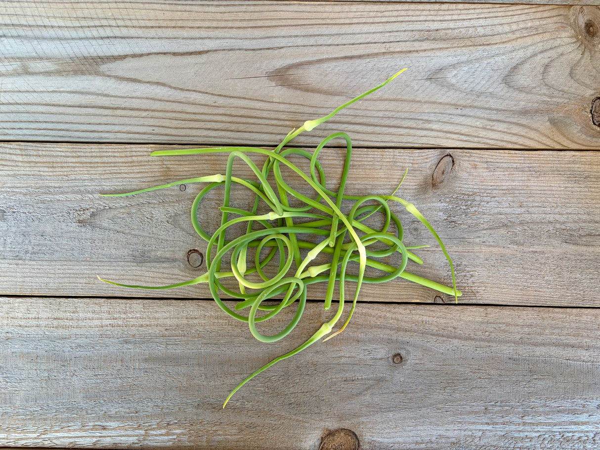 Garlic Scapes, 2 oz bunch