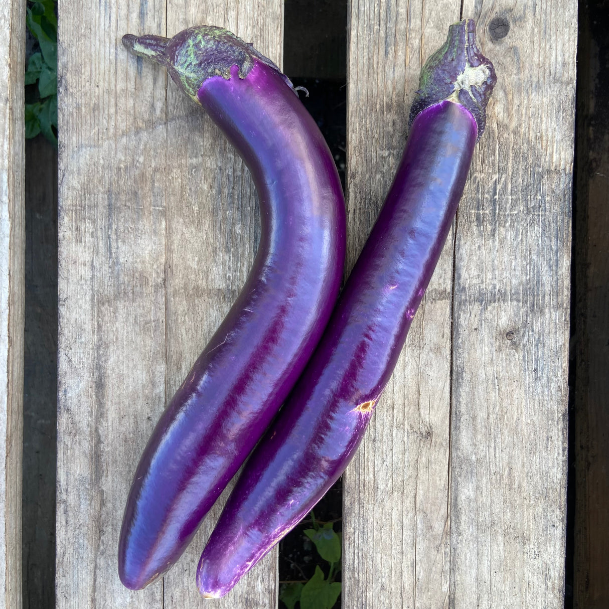 Eggplant, Asian - 2 count
