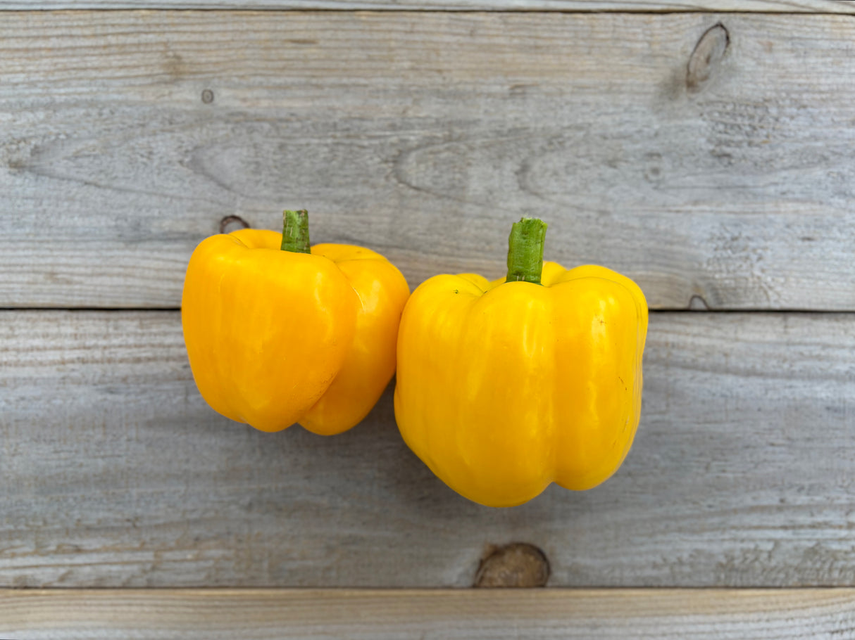 Organic Yellow Bell Peppers (2ct)