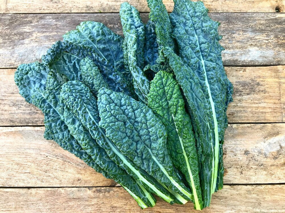Kale, Lacinato