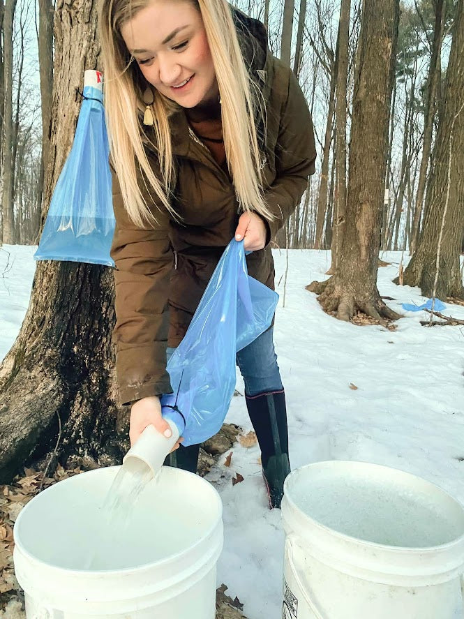 Maple Syrup