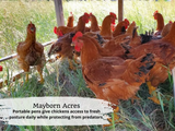 Pasture Raised Chicken Breasts, 2 ct