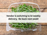 Microgreens