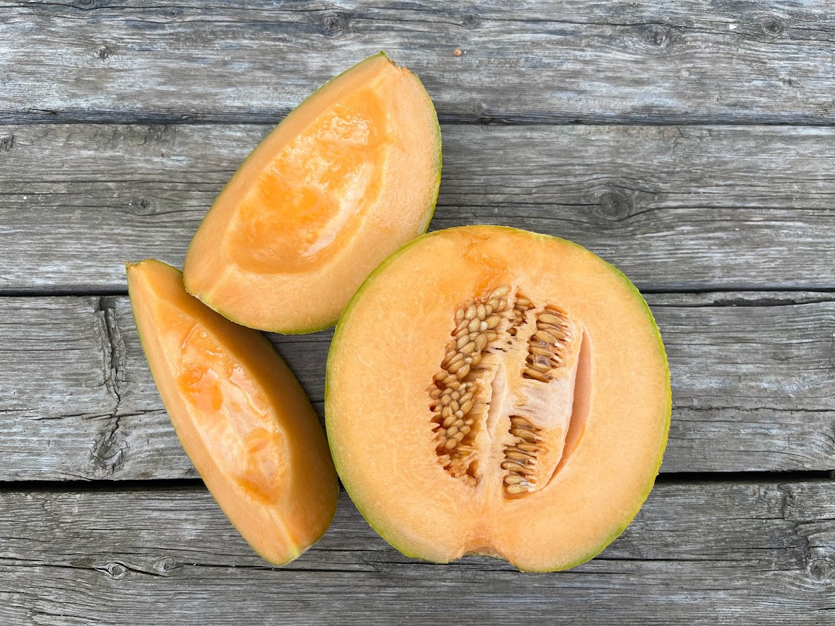 Melon, Mini Cantaloupe